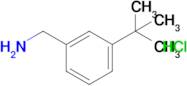 (3-(Tert-butyl)phenyl)methanamine hydrochloride