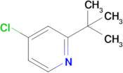 2-(Tert-butyl)-4-chloropyridine