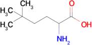 2-Amino-5,5-dimethylhexanoic acid