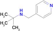 2-Methyl-N-(pyridin-4-ylmethyl)propan-2-amine