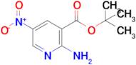 Tert-butyl 2-amino-5-nitronicotinate