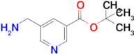 Tert-butyl 5-(aminomethyl)nicotinate