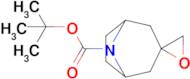 Tert-butyl 8-azaspiro[bicyclo[3.2.1]octane-3,2'-oxirane]-8-carboxylate