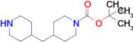 Tert-butyl 4-(piperidin-4-ylmethyl)piperidine-1-carboxylate