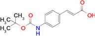 (E)-3-(4-((Tert-butoxycarbonyl)amino)phenyl)acrylic acid