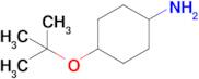 4-(Tert-butoxy)cyclohexan-1-amine