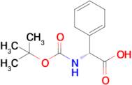 (R)-2-((Tert-butoxycarbonyl)amino)-2-(cyclohexa-1,4-dien-1-yl)acetic acid