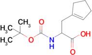 2-((Tert-butoxycarbonyl)amino)-3-(cyclopent-1-en-1-yl)propanoic acid