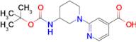 2-(3-((Tert-butoxycarbonyl)amino)piperidin-1-yl)isonicotinic acid
