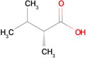 (R)-2,3-Dimethylbutanoic acid