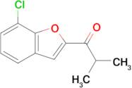 1-(7-Chlorobenzofuran-2-yl)-2-methylpropan-1-one