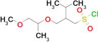 2-(((1-Methoxypropan-2-yl)oxy)methyl)-3-methylbutane-1-sulfonyl chloride