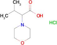 3-Methyl-2-morpholinobutanoic acid hydrochloride