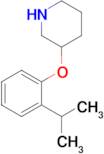 3-(2-Isopropylphenoxy)piperidine