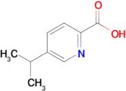 5-Isopropylpicolinic acid