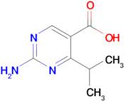 2-amino-4-(propan-2-yl)pyrimidine-5-carboxylic acid