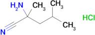 2-Amino-2,4-dimethylpentanenitrile hydrochloride