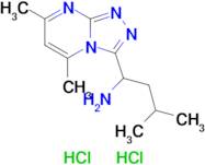 1-(5,7-Dimethyl-[1,2,4]triazolo[4,3-a]pyrimidin-3-yl)-3-methylbutan-1-amine dihydrochloride