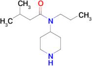 3-Methyl-N-(piperidin-4-yl)-N-propylbutanamide