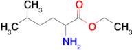 Ethyl 2-amino-5-methylhexanoate