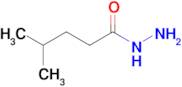 4-Methylpentanehydrazide