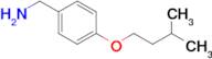 (4-(Isopentyloxy)phenyl)methanamine