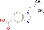 1-Isobutyl-1h-benzo[d]imidazole-5-carboxylic acid