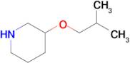 3-Isobutoxypiperidine