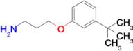 3-(3-(Tert-butyl)phenoxy)propan-1-amine