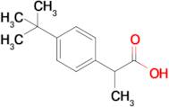 2-(4-(Tert-butyl)phenyl)propanoic acid