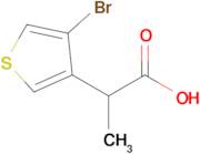 2-(4-Bromothiophen-3-yl)propanoic acid