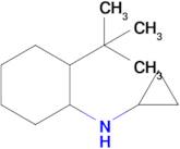 2-(Tert-butyl)-N-cyclopropylcyclohexan-1-amine