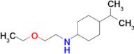 n-(2-Ethoxyethyl)-4-isopropylcyclohexan-1-amine