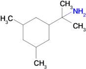 2-(3,5-Dimethylcyclohexyl)propan-2-amine