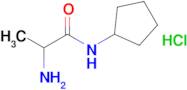 2-Amino-N-cyclopentylpropanamide hydrochloride