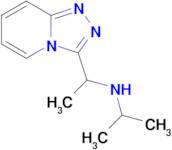 n-(1-([1,2,4]triazolo[4,3-a]pyridin-3-yl)ethyl)propan-2-amine
