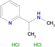 n-Methyl-1-(pyridin-2-yl)ethan-1-amine dihydrochloride