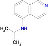 n-Isopropylisoquinolin-5-amine