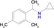 n-(1-(2,4-Dimethylphenyl)ethyl)cyclopropanamine