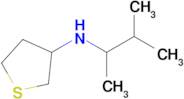 n-(3-Methylbutan-2-yl)tetrahydrothiophen-3-amine