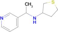 n-(1-(Pyridin-3-yl)ethyl)tetrahydrothiophen-3-amine