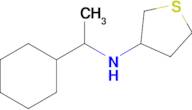 n-(1-Cyclohexylethyl)tetrahydrothiophen-3-amine