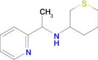 n-(1-(Pyridin-2-yl)ethyl)tetrahydro-2h-thiopyran-3-amine