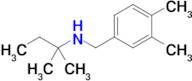 n-(3,4-Dimethylbenzyl)-2-methylbutan-2-amine