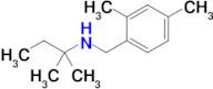 n-(2,4-Dimethylbenzyl)-2-methylbutan-2-amine