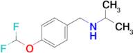 n-(4-(Difluoromethoxy)benzyl)propan-2-amine