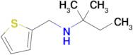 2-Methyl-N-(thiophen-2-ylmethyl)butan-2-amine