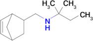 n-(Bicyclo[2.2.1]hept-5-en-2-ylmethyl)-2-methylbutan-2-amine