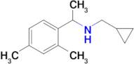 n-(Cyclopropylmethyl)-1-(2,4-dimethylphenyl)ethan-1-amine