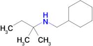 n-(Cyclohexylmethyl)-2-methylbutan-2-amine